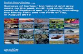 SNH Commissioned Report 759:Surveys of harbour and grey ... · Scottish Natural Heritage Commissioned Report No. 759. This report, or any part of it, should not be reproduced without