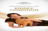 Understanding your cat’s KIDNEY CONDITION your cat’s KIDNEY CONDITION ® ® Most processes occur in nephrons, tiny filtering units inside the kidneys. A …