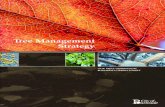 Tree Management Strategy - City of Burnside · Tree Management Strategy Jacaranda is the City’s most common street tree Foreword Further review of tree management and work practices