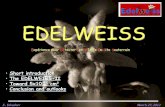 EDELWEISS - inr.ru fileSolutions of the background problem: 1. Traditional Experiment is located in one of the deepest underground laboratory – Frejus – with muon flux