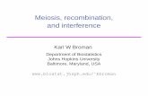 Meiosis, recombination, and interference - University of …kbroman/talks/meiosis_nz.pdf · Outline Mitosis and meiosis Chiasmata, crossovers Genetic distance Genetic markers, recombination