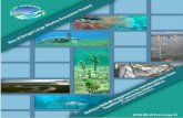 BOBLME-2015-Ecology-55 - core.ac.uk · EWIN Widya Nusantara Expedition FAO Food and Agriculture Organization FIO First Institute of Oceanography ... SAP Strategic Action Programme