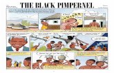 THE BLACK PIMPERNEL - worldschildrensprize.org · 4 5 Mandela, you are banned! A banned person could only meet with one person at a time... Mandela, your ban is extended by five years!