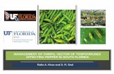 MANAGEMENT OF THRIPS, VECTOR OF ... A. Khan and D. R. Seal PEPPER PRODUCTION IN MIAMI-DADE COUNTY PEPPER AGRO-ECOSYSTEM Agro-ecosystem Uniform crop Plant population Weed communities