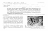 A case report of coeliacomesenteric trunk. - Allied Academies · A case report of coeliacomesenteric trunk. Mehmet Tugrul Yilmaz, Murat Tezer, Aynur Emine Cicekcibasi, Anil Didem