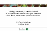 Energy efficiency and economics of the production of ... · Energy efficiency and economics of the production of microalgae biomass with a flat panel-airlift photobioreactor Dr. Peter
