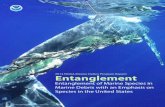 Entanglement of Marine Species in Marine Debris with an ... · 2014 MARINE DEBRIS ENTANGLEMENT REPORT . Entanglement. Entanglement of Marine Species in Marine Debris with an Emphasis