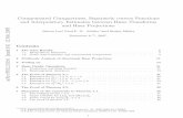 CompensatedCompactness,SeparatelyconvexFunctions ... · arXiv:0902.2102v1 [math.FA] 12 Feb 2009 CompensatedCompactness,SeparatelyconvexFunctions andInterpolatoryEstimatesbetweenRieszTransforms