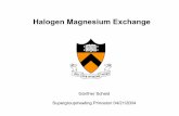 Halogen Magnesium Exchange - Home | Princeton orggroup/supergroup_pdf/Magnesium...Halogen Magnesium