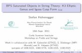BPS Saturated Objects in String Theory: K3 Elliptic Genus ...mppmu_mpg_de_01.pdfBPS Saturated Objects in String Theory: K3 Elliptic Genus and Igusa Cusp Form χ 10 Stefan Hohenegger