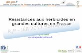 Résistances aux herbicides en grandes cultures en France · 7-8 mars 2017 Christophe Délye christophe.delye@inra.fr Résistances aux herbicides en grandes cultures en France. 7-8