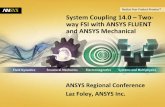 Two- way FSI with ANSYS FLUENT and ANSYS Mechanical · •Two-way surface force/displacement coupling with ANSYS Fluent and ANSYS Mechanical ... Reed Valve Transient response of reed