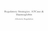 Regulatory Strategies: ATCase & Haemoglobinwebspace.qmul.ac.uk/rwjanes/basic_13_16_web.pdf · Myoglobin •Myoglobin is a single polypeptide, hemoglobin has four polypeptide chains.