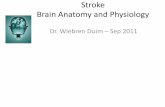 Stroke Brain Anatomy and Physiology - wickUPwickup.weebly.com/uploads/1/0/3/6/10368008/prof_duim_stroke_1.pdf · • TIA’s are mimics of acute ischemic stroke Focal deficit resolves