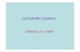 Lymphatic system - ssu.ac.ir fileLymphatic system Edited by: Dr. Talebi. ... lymphatic germinal medulla dendritic cells ... Histology Lab Part 12: Slide 65 . Desmosome