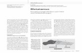 Metatarsus - Springer · erable problems with metatarsal head pain, so that improvement cannot be expected ex-cept from a deflecting osteotomy. Nonunions are sometimes following a