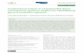 Computational analysis of 1,3-propanediol operon ... · of Clostridium sp. strain IBUN 13A, called dhaY in this research. Consequently, possible transcriptional regulation mechanisms