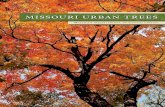Missouri Urban Trees - Missouri Department of Conservation · Noppadol Paothong, Missouri Department of Conservation 3 PURCHASING AND TRANSPORTING YOUR TREE After you have evaluated