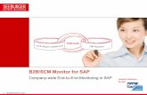 B2B/SCM Monitor for SAP - seeburger.suseeburger.su/wp-content/uploads/pdf/B2B_SCM_Monitor.pdf · SAP only provides monitoring functionality for single processes, which makes a centralized,