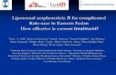 Liposomal amphotericin B for complicated Kala-azar in ... fileLiposomal amphotericin B for complicated Kala-azar in Eastern Sudan How effective is current treatment? Niven. A. Salih,1