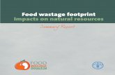 Food wastage footprint: Impacts on natural resources ...· About this document The Food Wastage Footprint