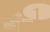 1 · CHRONIC KIDNEY DISEASE - USRDS Home 3 48 CHRONIC KIDNEY DISEASE 1 Introduction Chronic kidney disease
