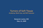 Tumors of Soft Tissue - UCSD Musculoskeletal Radiology Tissue Tumor Lecture Benjamin Levine.pdf · Tumors of Soft Tissue Anatomy, Work-Up, and MR Features Benjamin Levine, MD May