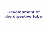 Development of the digestive tube - anatomie.lf3.cuni.czanatomie.lf3.cuni.cz/centralni_prezentace/Traveni_vyvoj trubice_eng.pdf · Development Endoderm of primordial gut Stomodeum