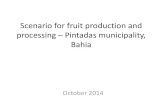 Scenario for fruit production and processing Pintadas ... fileScenario for fruit production and processing – Pintadas municipality, Bahia October 2014