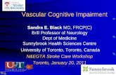 Vascular Cognitive Impairment - Sunnybrook … Cognitive Impairment Sandra E. Black MD, FRCP(C) Brill Professor of Neurology Dept of Medicine Sunnybrook Health Sciences Centre University