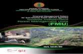 Financial Management Pattern for Sub-national Public Service … BLUD 12122013.pdf · ministry of forestry directorate general of forestry planning directorate of area management