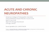 Acute and Chronic Neuropathies and Chronic Neuropathies •Neuropathy- is defined as nerve disease/damage •20 million people suffer from some form of neuropathy •Can be acute or