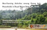 Non-Farming Activities among Orang Asli Households in ... fileNon-Farming Activities among Orang Asli Households in Royal Belum State Park, Perak Khairul Hisyam Kamarudin, PhD * Khamarrul