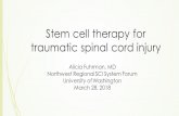 Stem cell therapy for traumatic spinal cord injurysci.washington.edu/stemcells/Stem_cell_slides.pdf · Stem cell therapy for traumatic spinal cord injury Alicia Fuhrman, MD Northwest
