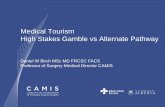 Medical Tourism High Stakes Gamble vs Alternate Pathwayobesitycanada.ca/wp-content/uploads/2018/07/15-Medical-Tourism-Birch.pdf · High Stakes Gamble vs Alternate Pathway ... •