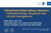 Tubulointerstitial kidney diseases: Pathophysiology ... NORTIER compressed.pdf · pyelonephritis…) In Comprehensive Clinical Nephrology, 3rd ed. 15 juin 2018 24 IDENTIFICATION OF