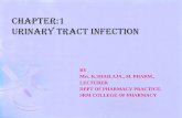 Urinary Tract Infections - Welcome to SRM Institute of ... · Urinary tract infection (UTI) : Is an infection that affects any part of the urinary tract. • Mostly Bacterial. •