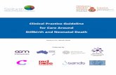Clinical Practice Guideline for Care Around Stillbirth and ... · and New Zealand Neonatal Network; Queensland Maternal and Perinatal ... The main objective of the guideline is to