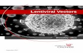 Lentiviral Vectors - researchcompliance.uc.eduresearchcompliance.uc.edu/training/lentiviral-vectors/story_content/external_files/LV... · the university of cincinnati makes no representations