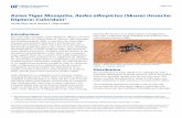 Asian Tiger Mosquito, Aedes albopictus (Skuse) (Insecta ...edis.ifas.ufl.edu/pdffiles/IN/  · vector