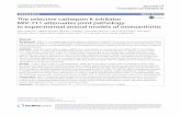 The selective cathepsin K inhibitor MIV-711 attenuates ... · MIV-711 attenuates joint pathology in experimental animal models of osteoarthritis