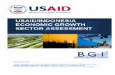 USAID/INDONESIA ECONOMIC GROWTH SECTOR … · APRISINDO Indonesia Footwear Association ... ITB Institute of Technology of Bandung IVC Industrial Value Chain ... findings of the USAID/Indonesia