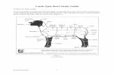 Sheep Quiz Bowl Study Guide - fyi.extension.wisc.edu · Revised 04/28/2004 2 ... Scrub – A sheep whose ancestry is so mixed it does not resemble any particular breed or cross ...