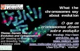 What the chromosomes say about evolution - le.ac.uk · What the chromosomes say about evolution O que os ... var. strangulata (12) Hexaploid wheat . Hojjatollah Saeidi, Mohammad Reza