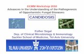 CANDIDOSIS - ECMMecmm.eu/files/1_segal.pdf · candidosis, focusing on the present knowledge in the areas of: (1) specific virulence factors of the fungus, such as biofilm formation,