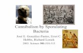 Cannibalism by Sporu#13D886 - Nc State University · Cannibalism by Sporulating Bacteria José E. González-Pastor, Erret C. Hobbs, Richard Losick ... Cannibalism by Sporu#13D886.ppt