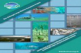BOBLME-2015-Ecology-28 · BOBLME-2015-Ecology-28 . ii ... Indian mackerel for which the SEAFDEC/MFRDMD has the regional responsibility. A ... grouper. Further ...
