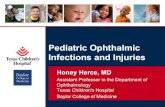 Pediatric Ophthalmic Infections and Injuries · xxx00.#####.ppt 3/27/19 10:21:02 AM Causes of Red Eye Conjunctivitis - Viral - Bacterial - Allergic Corneal abrasion Blepharitis Chalazion