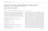 Observations on the entomopathogenic fungus Hirsutella ... et al 2012 Observations on the... · Observations on the entomopathogenic fungus Hirsutella citriformis attacking adult