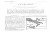 Occurrence of Paraleucilla magna (Porifera: Calcarea) in ... · 1750 C. Longo et al. Paraleucilla magna in the Mediterranean Sea Journal of the Marine Biological Association of the
